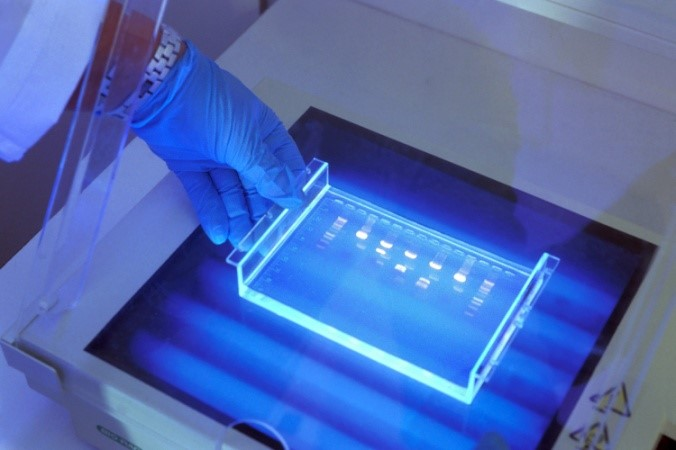 Лаборатория электрофореза и вестерн-блоттинга